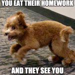A Puppy Meme | YOU EAT THEIR HOMEWORK; AND THEY SEE YOU | image tagged in cute puppy,dog memes | made w/ Imgflip meme maker