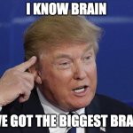Trump pointing to head | I KNOW BRAIN; I'VE GOT THE BIGGEST BRAIN | image tagged in trump pointing to head | made w/ Imgflip meme maker