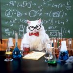 Chemistry Cat Head down