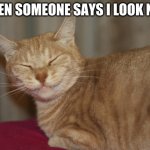 Smug cat | WHEN SOMEONE SAYS I LOOK NICE | image tagged in smug cat | made w/ Imgflip meme maker