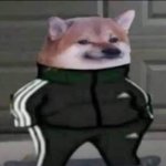 slav doge