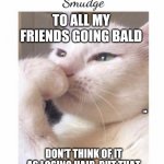 Smudge | TO ALL MY FRIENDS GOING BALD; J M; DON'T THINK OF IT AS LOSING HAIR, BUT THAT YOU'RE GETTING MORE HEAD. | image tagged in smudge | made w/ Imgflip meme maker