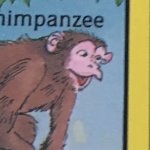 Chimpanzee pog