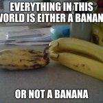banana | EVERYTHING IN THIS WORLD IS EITHER A BANANA; OR NOT A BANANA | image tagged in bannana - 1 in 1000 | made w/ Imgflip meme maker