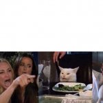 Woman Yelling At Cat (3 Panels) meme