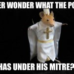 Mercersburg Mouse | EVER WONDER WHAT THE POPE; HAS UNDER HIS MITRE? | image tagged in mercersburg mouse | made w/ Imgflip meme maker