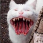 Demon cat meme