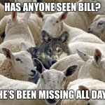 Wolf in Sheeps Clothing | HAS ANYONE SEEN BILL? HE’S BEEN MISSING ALL DAY. | image tagged in wolf in sheeps clothing | made w/ Imgflip meme maker