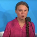 Greta Thunberg loses it