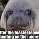 Sad Seal | for cheating on the microwave; me after the toaster leaves me | image tagged in sad seal | made w/ Imgflip meme maker