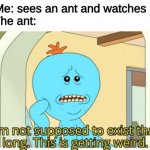 Stepping on ants | Me: sees an ant and watches it
The ant: | image tagged in i'm not supposed to exist that long this is getting weird | made w/ Imgflip meme maker