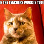 Suspicious Cat | WHEN THE TEACHERS WORK IS TOO EASY | image tagged in memes,suspicious cat | made w/ Imgflip meme maker