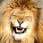 The Lion is Laughing