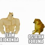 Team Djokonda | OSTATAK FORUMA; TEAM DJOKONDA | image tagged in strong dog weak dog | made w/ Imgflip meme maker