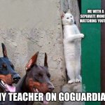 Sneaky cat | ME WITH A SEPARATE MONITOR WATCHING YOUTUBE; MY TEACHER ON GOGUARDIAN | image tagged in sneaky cat | made w/ Imgflip meme maker