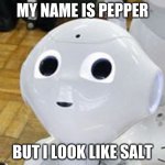 pepper | MY NAME IS PEPPER; BUT I LOOK LIKE SALT | image tagged in pepper | made w/ Imgflip meme maker