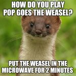 No Weason Weasel | HOW DO YOU PLAY POP GOES THE WEASEL? PUT THE WEASEL IN THE MICROWAVE FOR 2 MINUTES | image tagged in no weason weasel,memes,dank memes | made w/ Imgflip meme maker