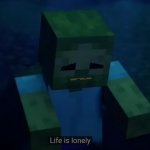 Life is lonely