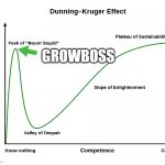 Growboss Dunning-Kruger Effect | GROWBOSS | image tagged in dunning-kruger effect | made w/ Imgflip meme maker