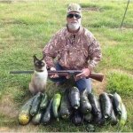 zucchini hunter