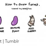 How to draw a Furret meme