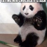 Hands Up panda | ME WHEN MY MOM SEES ME EATING HER CHOCOLATE STASH | image tagged in hands up panda | made w/ Imgflip meme maker