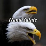 EAGLES | Hand Salute | image tagged in eagles | made w/ Imgflip meme maker