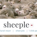 Sheeple definition meme