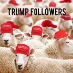 Trump followers sheeple meme