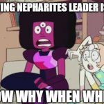 surprised Garnet and Pearl | AFTER KNOWING NEPHARITES LEADER IS HESSONITE; WHAT HOW WHY WHEN WHERE!?!??! | image tagged in surprised garnet and pearl | made w/ Imgflip meme maker