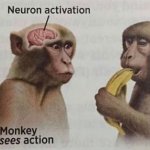 Neuron Activation