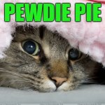 Testing. | PEWDIE PIE | image tagged in cat in blanket,nixieknox | made w/ Imgflip meme maker