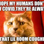 Suspicious Cat | HOPE MY HUMANS DON'T HV COVID,THEY'RE ALWAYS IN THAT LIL ROOM COUGHING | image tagged in memes,suspicious cat | made w/ Imgflip meme maker