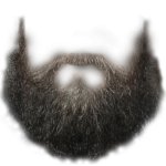 ALL BEARD