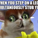 Spleeeeeeeens | WHEN YOU STEP ON A LEGO AND SIMULTANEOUSLY STUB YOUR TOE | image tagged in spleensthecat,graystillplays,weird cat | made w/ Imgflip meme maker