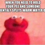 Sickened elmo | WHEN YOU NEED TO HOLD YOUR PEE AND SOMEONE ACCIDENTALY SPLITS WARM WATER ON YOU | image tagged in sickened elmo | made w/ Imgflip meme maker