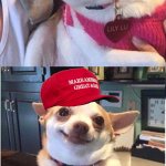 Angry then happy MAGA dog- an AN0NYM0US template