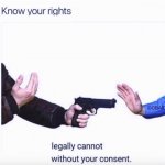 Know your rights meme