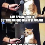 We all have feelings | I AM SPECIALIZED IN CUTTING ONIONS IN A RESTAURANT; SO THAT NO ONE JUDGES ME WHEN I CRY ALL-DAY | image tagged in cat interview crying | made w/ Imgflip meme maker