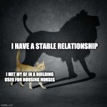 Cat with Lion Shadow | I HAVE A STABLE RELATIONSHIP; I MET MY GF IN A BUILDING USED FOR HOUSING HORSES | image tagged in cat with lion shadow | made w/ Imgflip meme maker