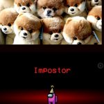 Impostor | Dog | image tagged in impostor | made w/ Imgflip meme maker