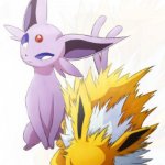 jolteon x espeon