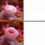 axolotl drake meme