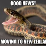 Snake  | GOOD NEWS! I’M MOVING TO NEW ZEALAND. | image tagged in snake | made w/ Imgflip meme maker