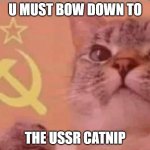Communist cat | U MUST BOW DOWN TO THE USSR CATNIP | image tagged in communist cat | made w/ Imgflip meme maker