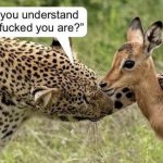 Do you understand how fucked you are