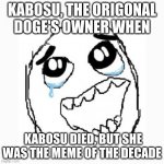 Happy cry | KABOSU, THE ORIGONAL DOGE'S OWNER WHEN; KABOSU DIED, BUT SHE WAS THE MEME OF THE DECADE | image tagged in happy cry | made w/ Imgflip meme maker