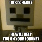 The companion | THIS IS HARRY; HE WILL HELP YOU ON YOUR JOURNEY | image tagged in harry | made w/ Imgflip meme maker