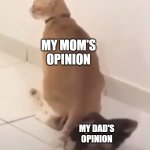 Hmm that's a pretty nice chair ya got there | MY MOM'S OPINION; MY DAD'S OPINION | image tagged in cat sitting on cat,opinion,dad,mom | made w/ Imgflip meme maker