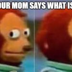 when you mom ask what a meme is | WHEN YOUR MOM SAYS WHAT IS A MEME | image tagged in monkey | made w/ Imgflip meme maker